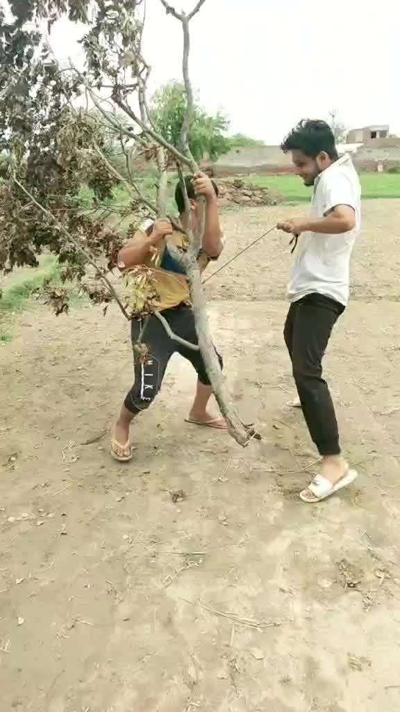 @ab_kingfisher