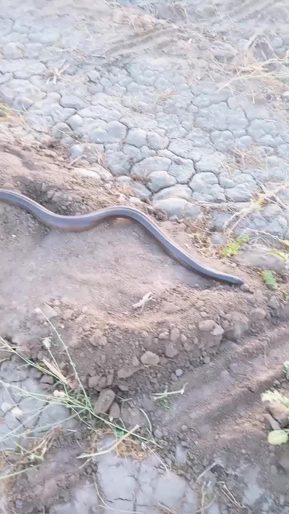 @Vikram vanodara