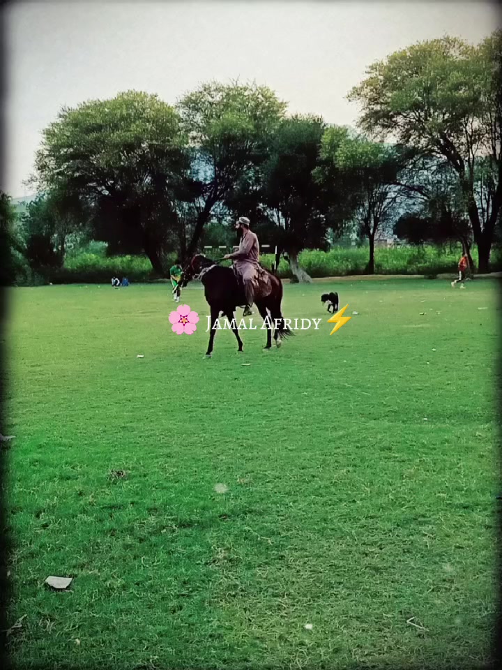 @☠️ Lala Afridi 👑