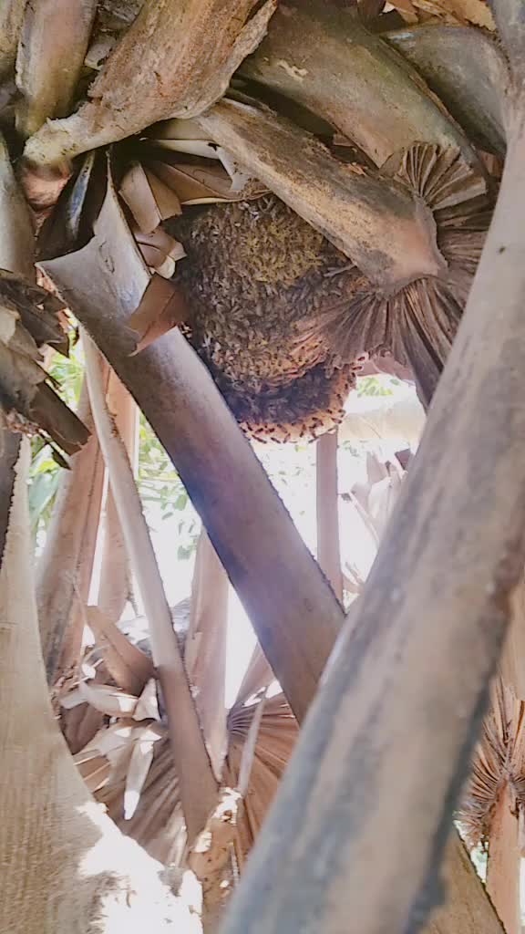 @Udaykiran Udaykiran