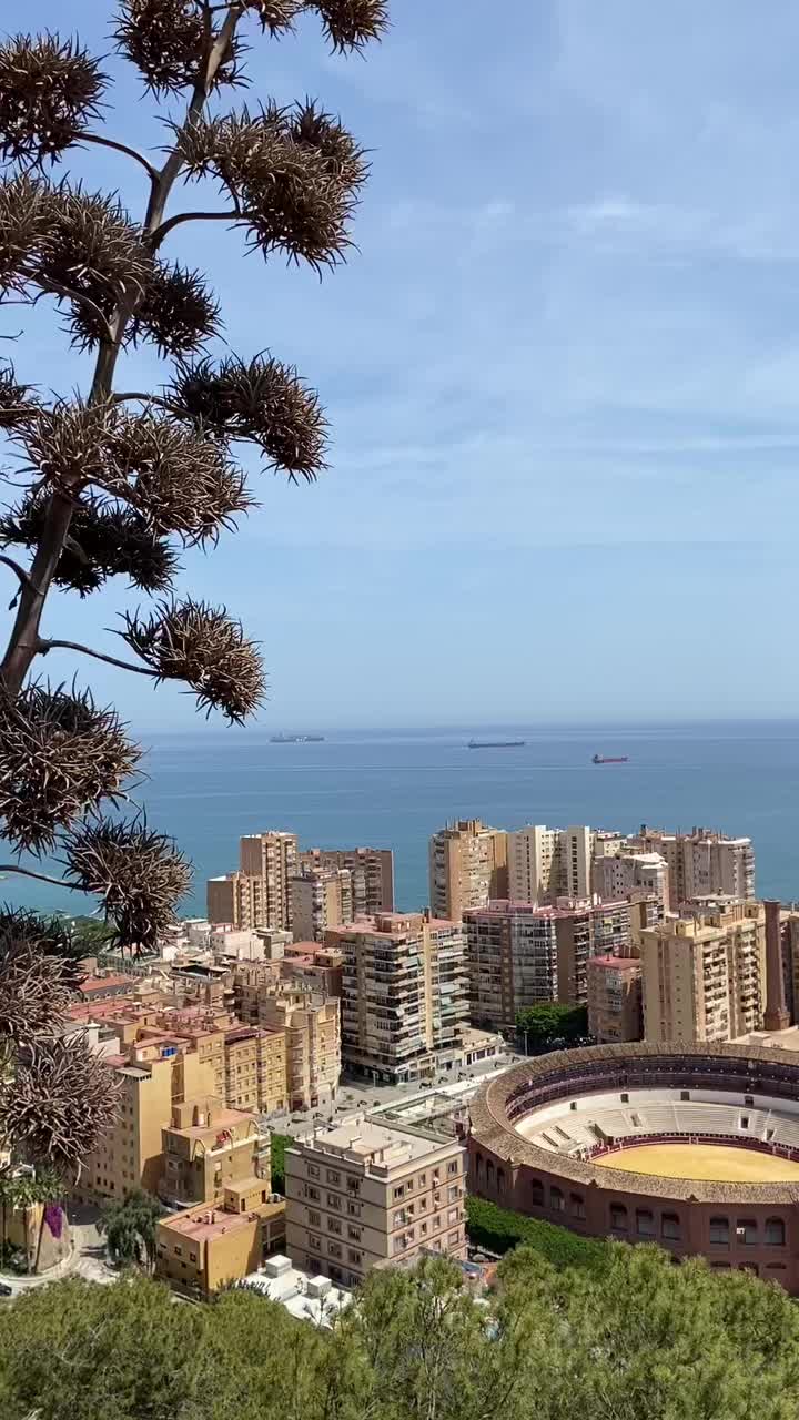 @L’ovni