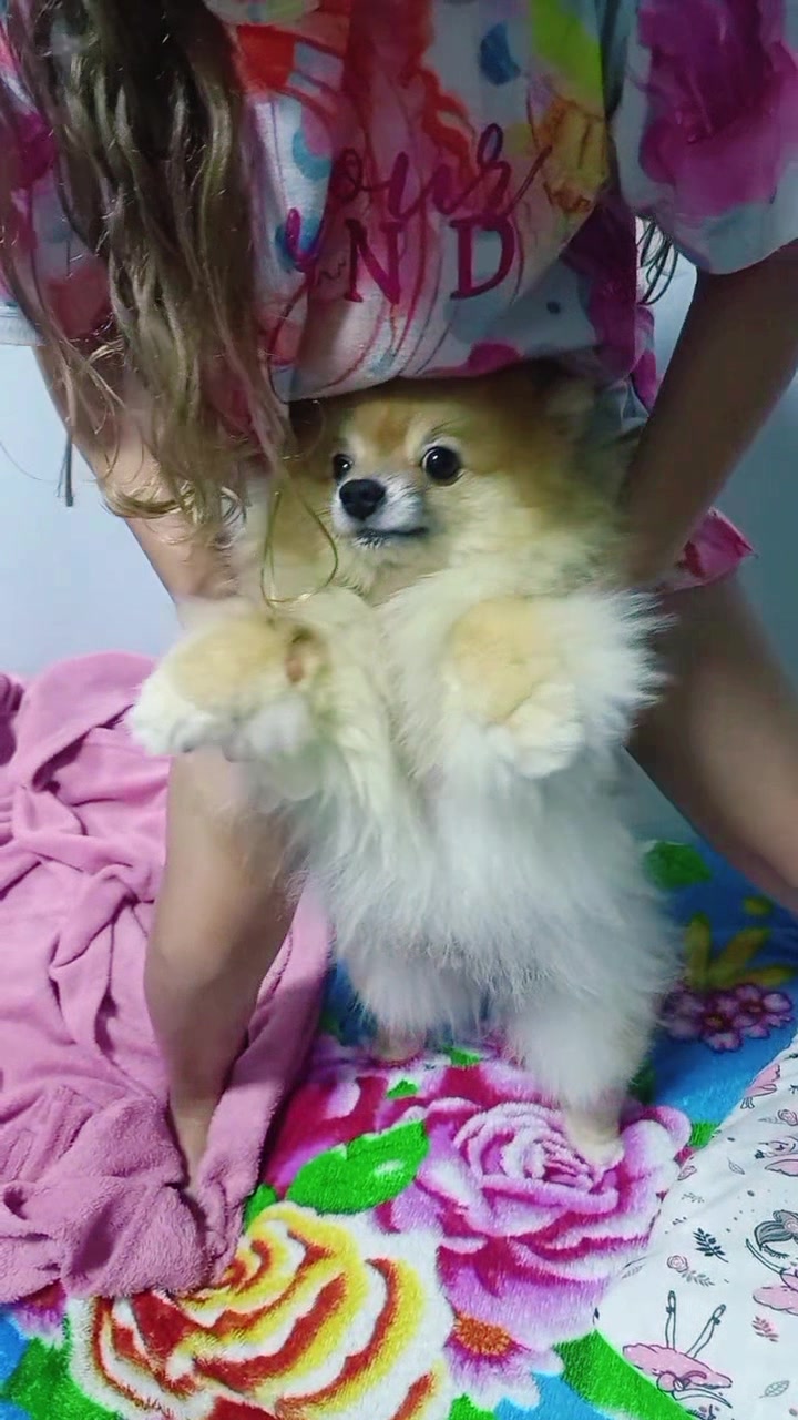 @Ana Alícia princess