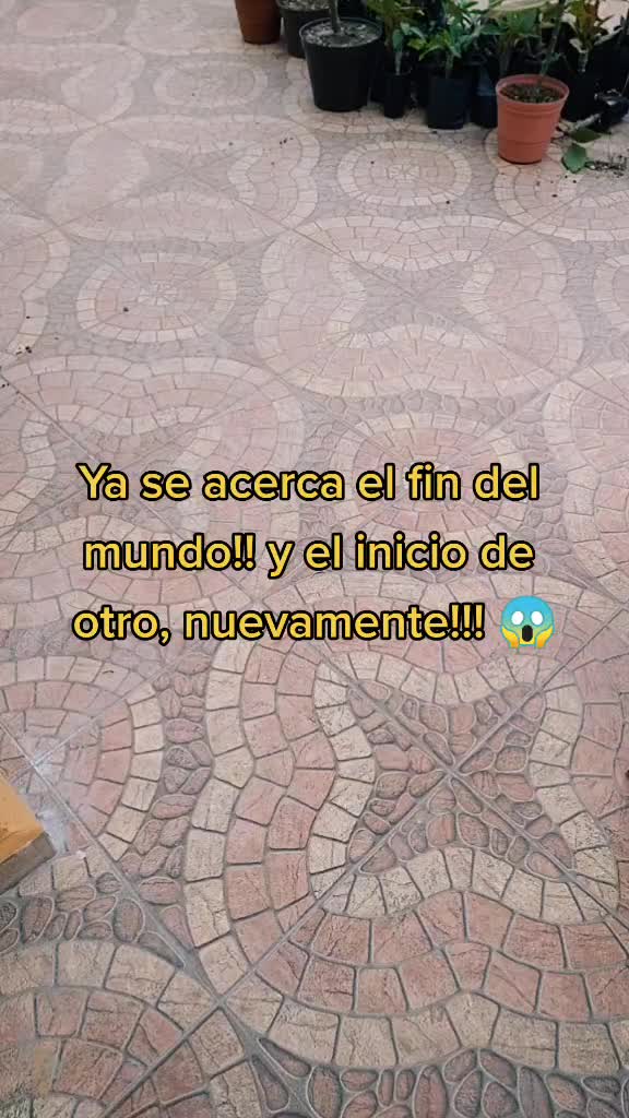 @Elisa L. Vázquez