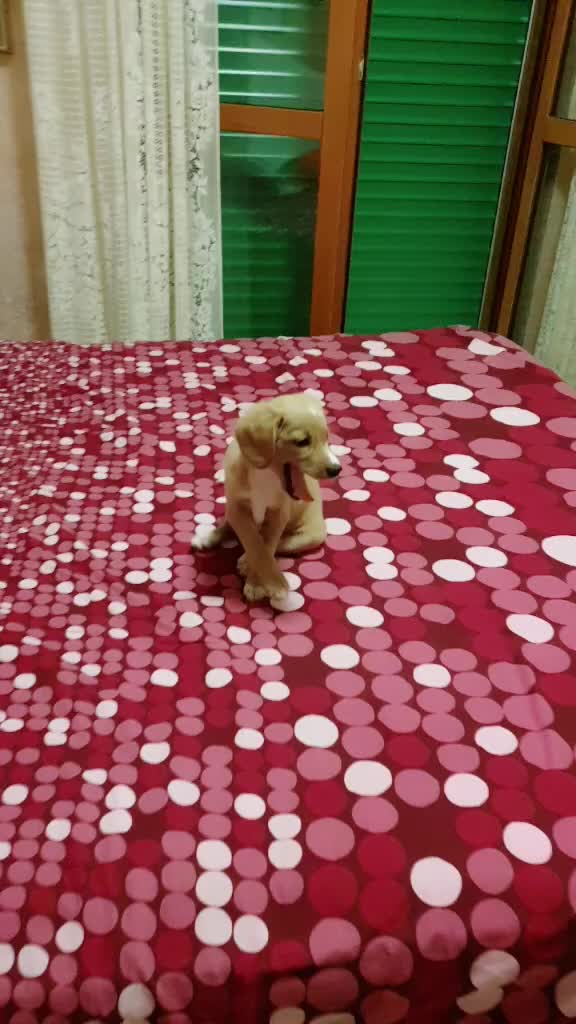 @magicaemy13