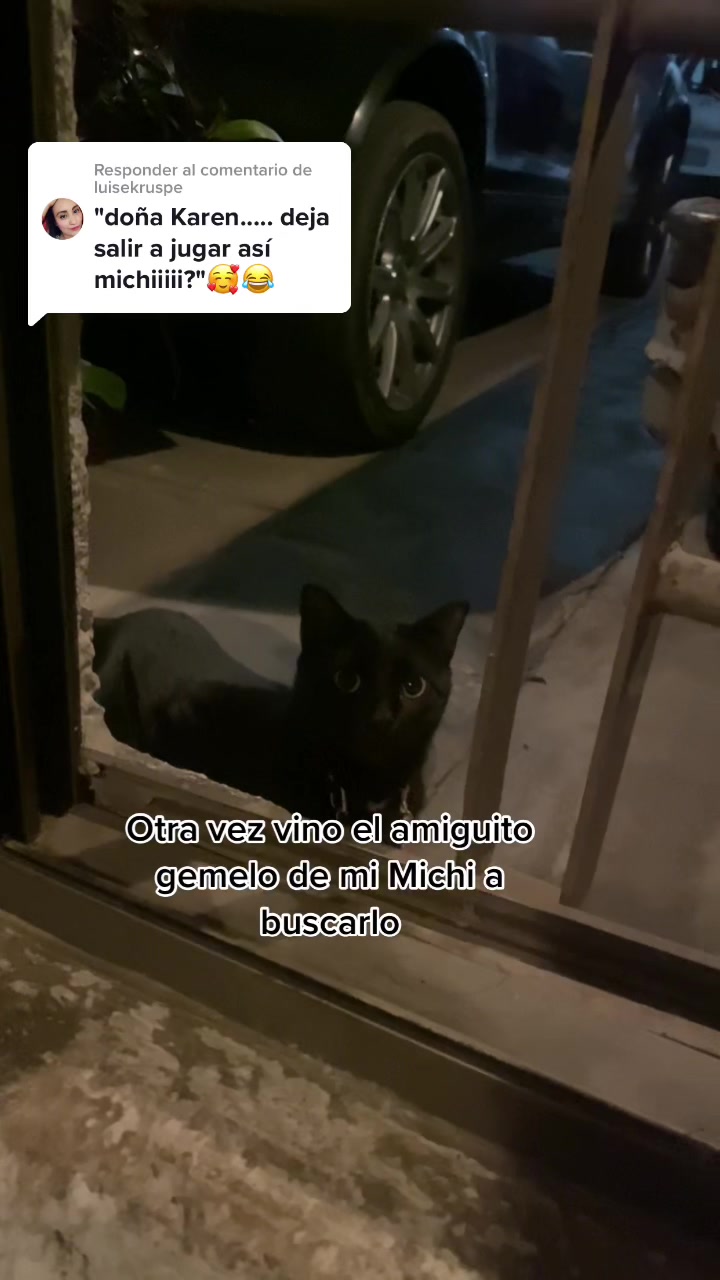 @Marífer Lepiz