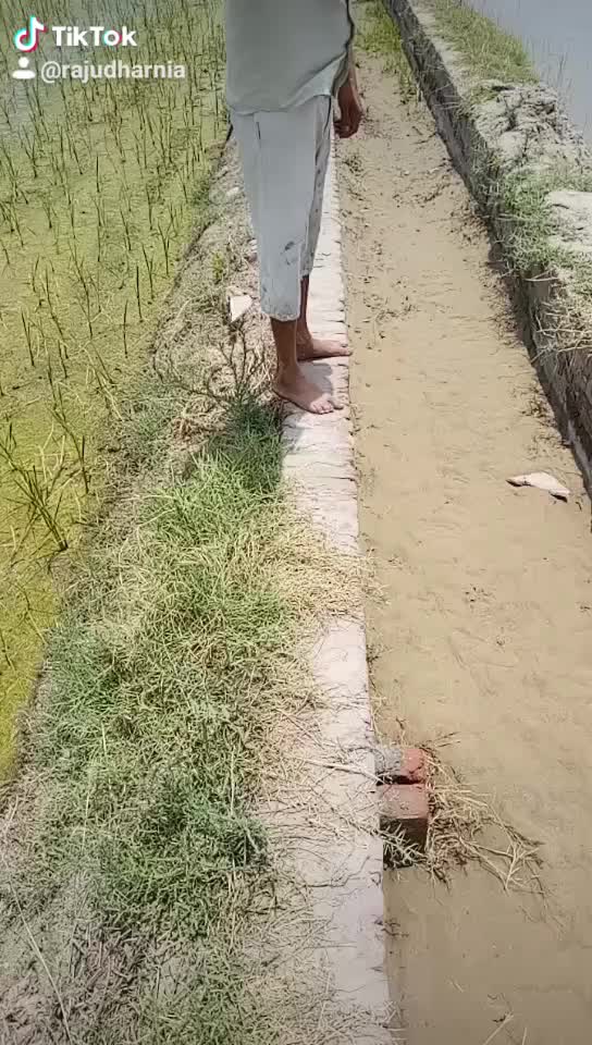 @dasi jamidar