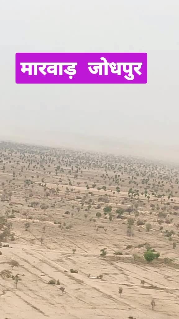 @MuleshChoudhary