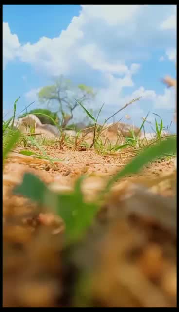@telugu...ammayi3