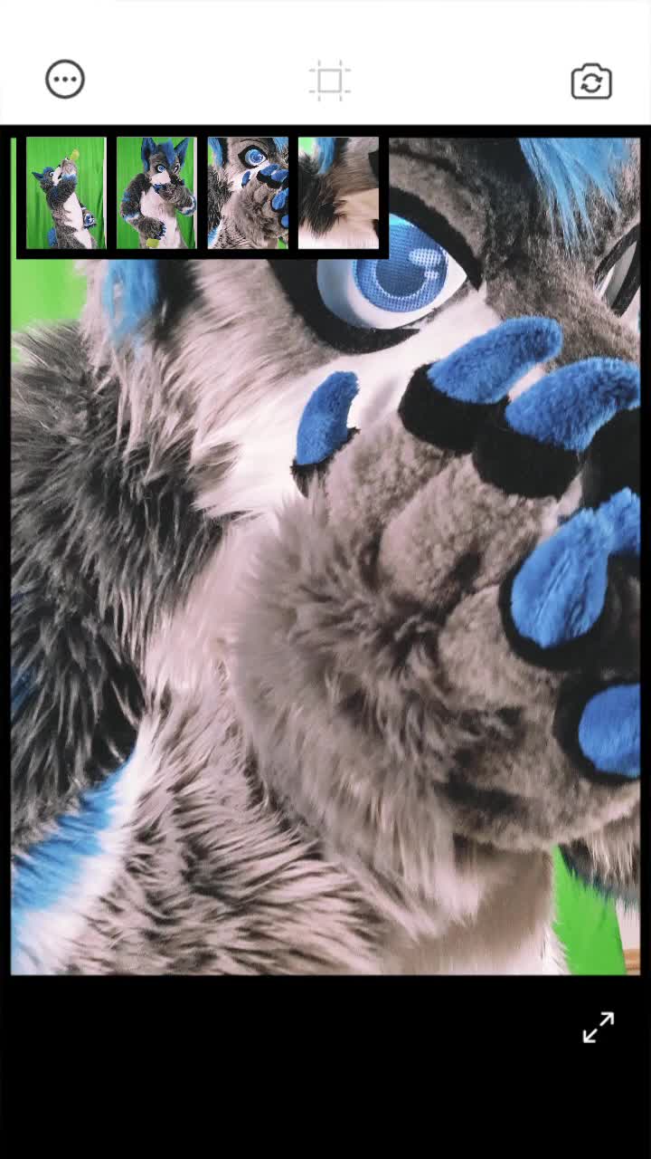 @DarkDragon