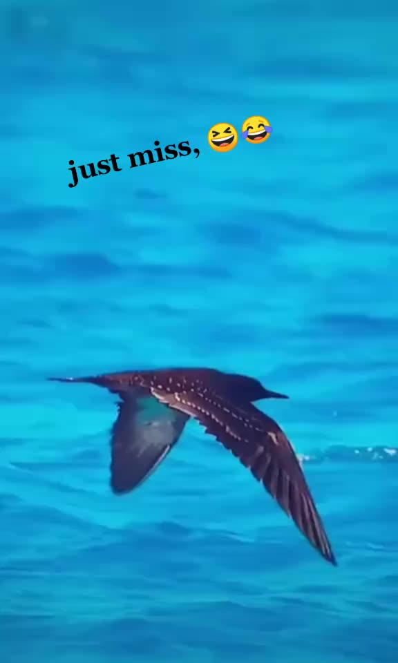 @మనసంతా మహేష్,.. 💝