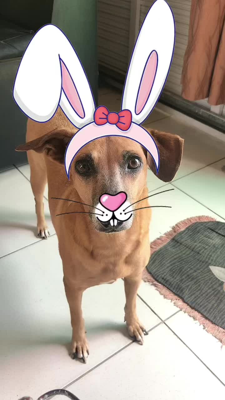 @Elenilde Ramos