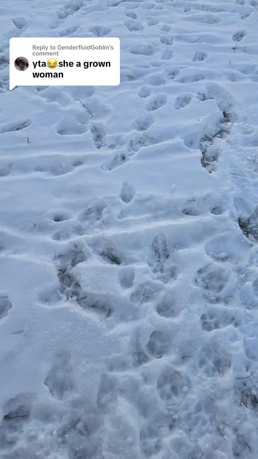 @Desolate Midwinter