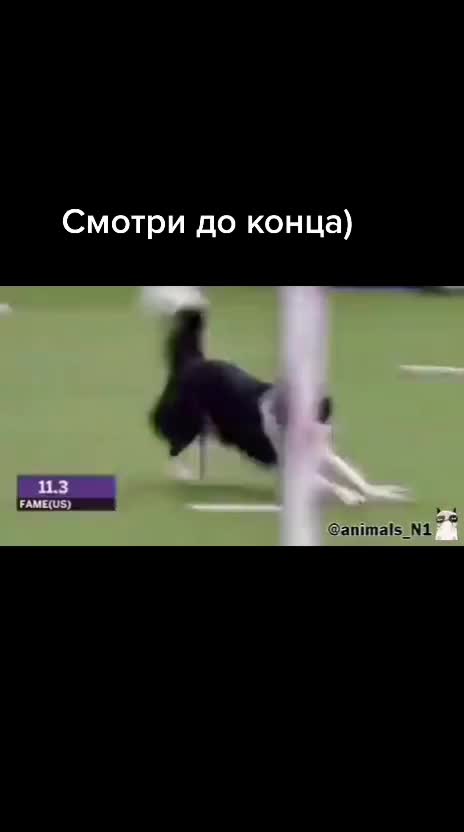 @vosemweb