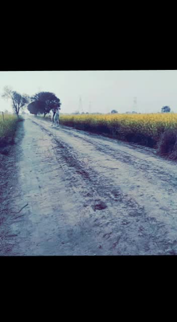 @hr.16 aala.....