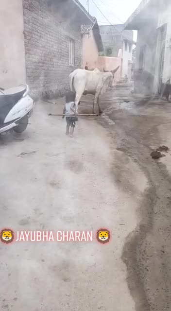@ruturaj.Gadhavi