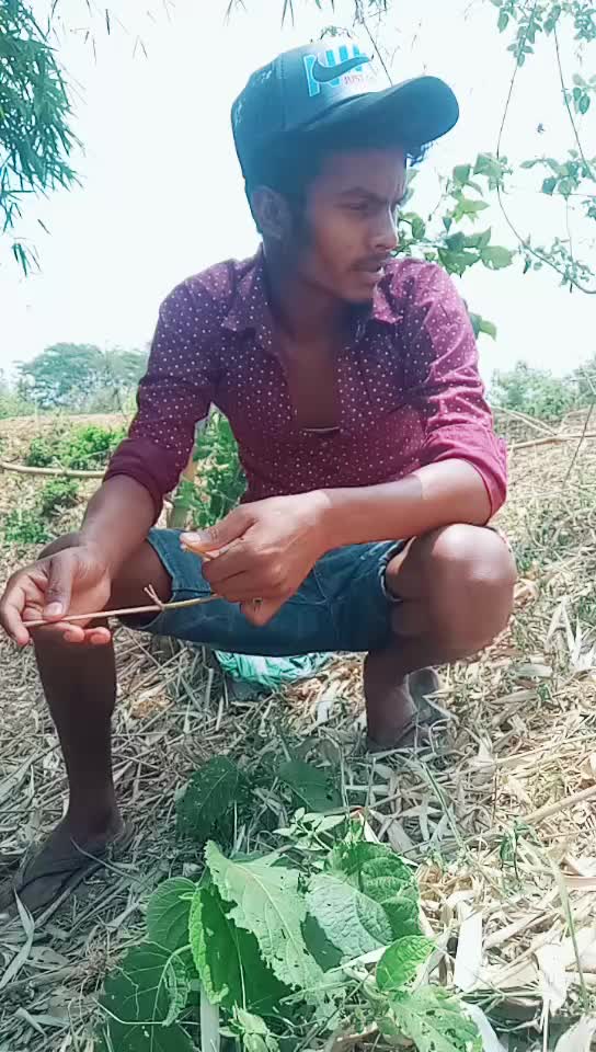 @Maikel Pradhan