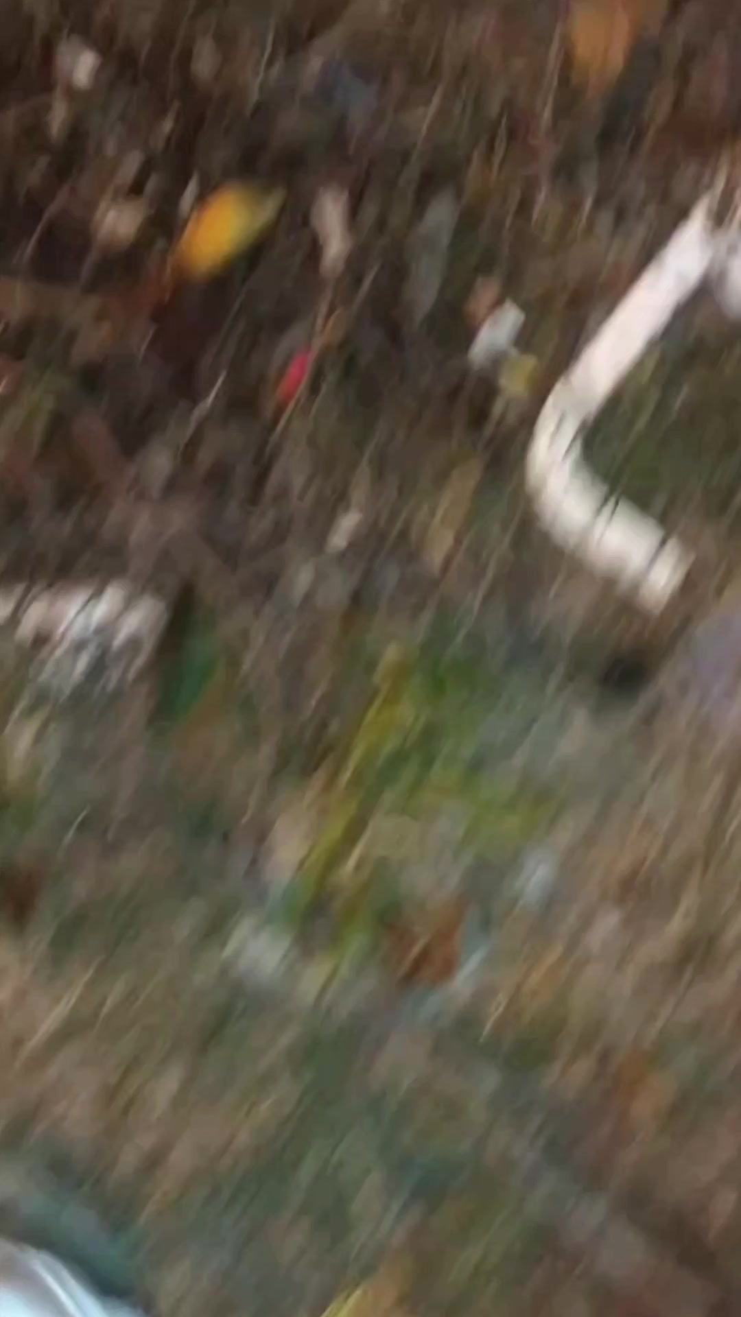 @Aldanaortizz4