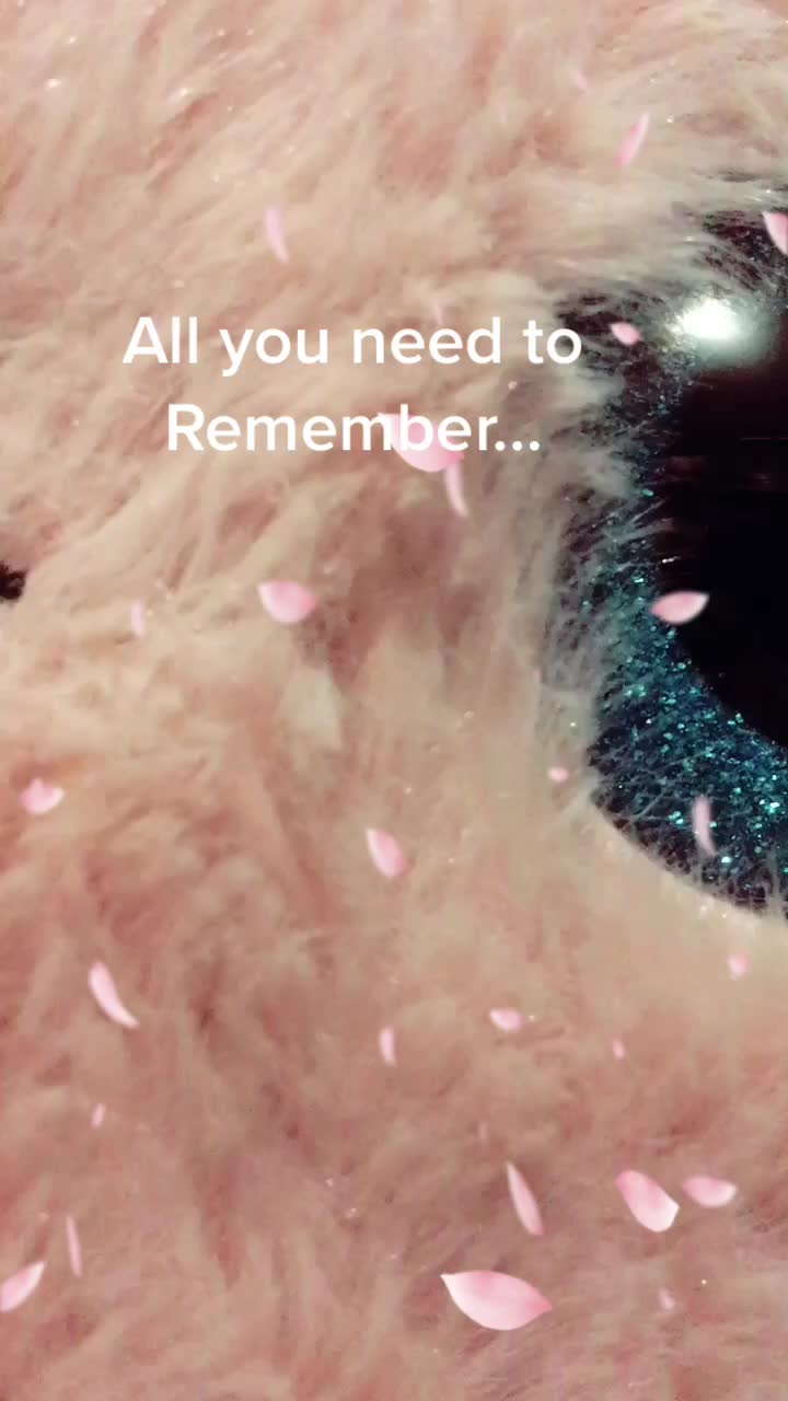 @Forgiven💍Angel