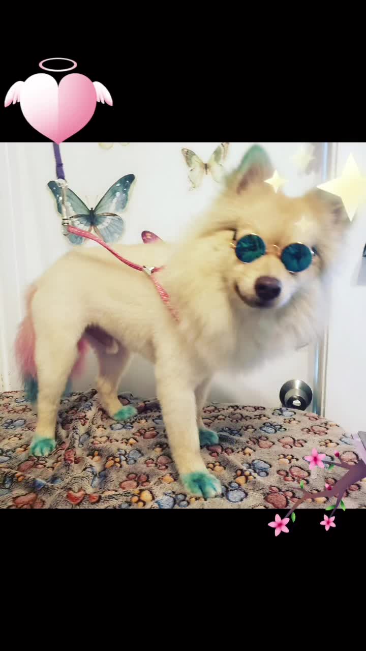 @MiaLOVE