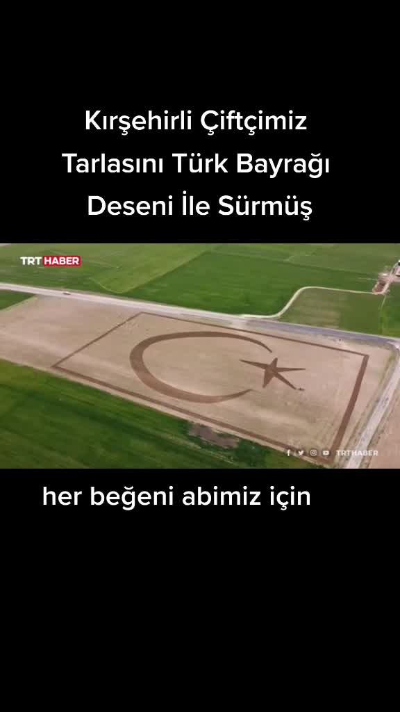 @TarimTubb