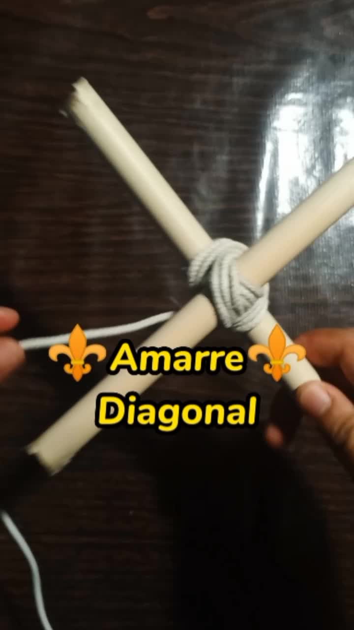 @Jesus Antonio Zamora