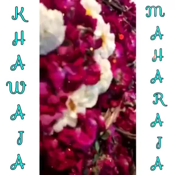 @👑 Affy 👑