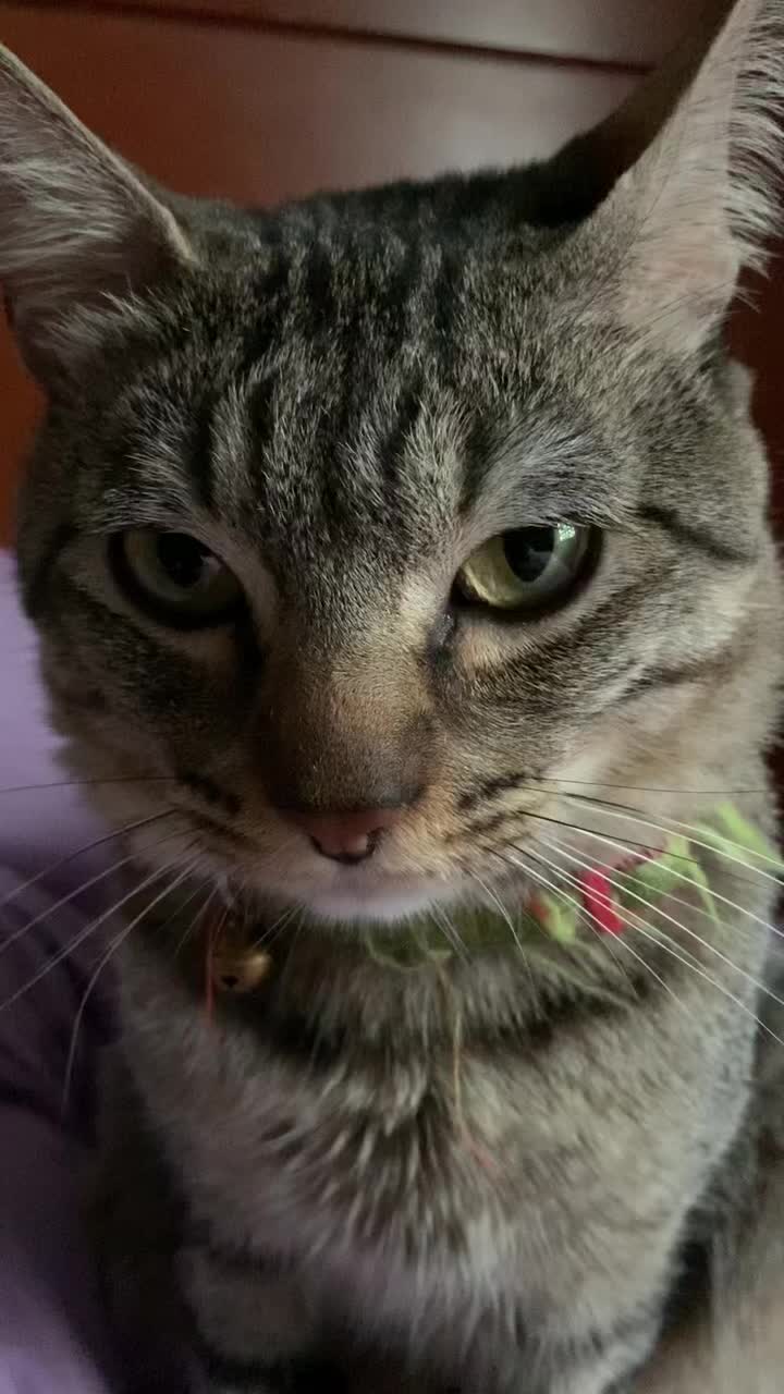 @Mely