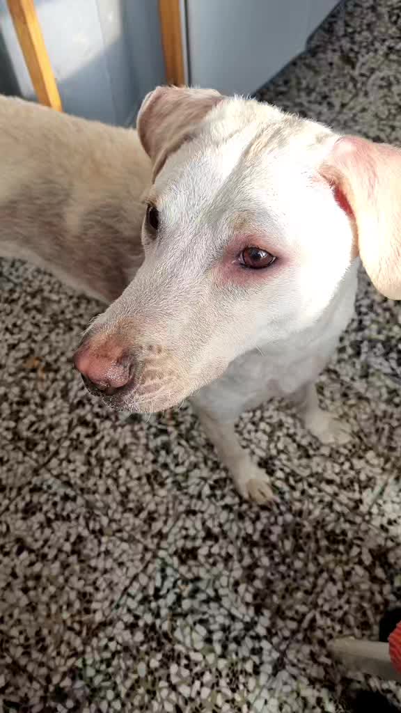 @kika.mazzarrisi