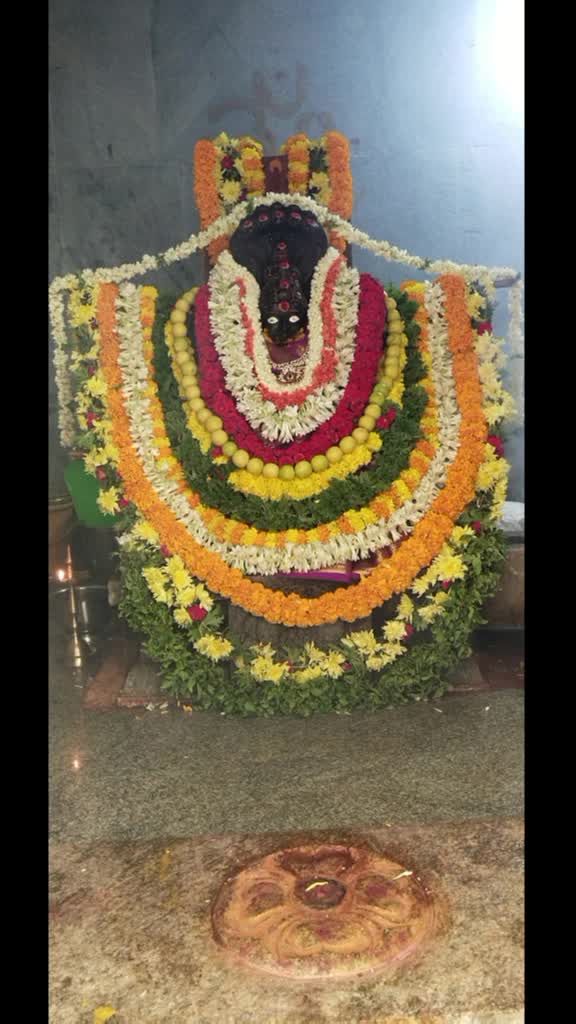 @Babu Ntr