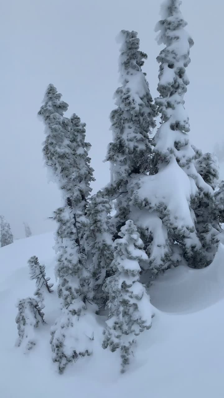 @PNW-Hikes