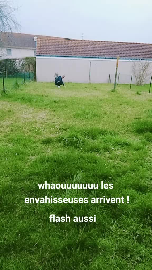 @Matrixe