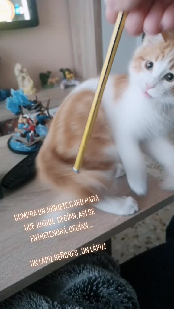 @Cristina Maria Luque