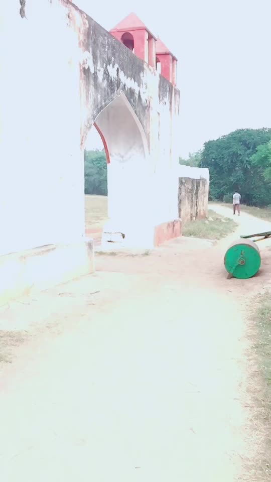 @alibinyahiyazaidi