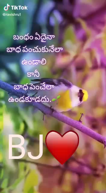 @Balaji N