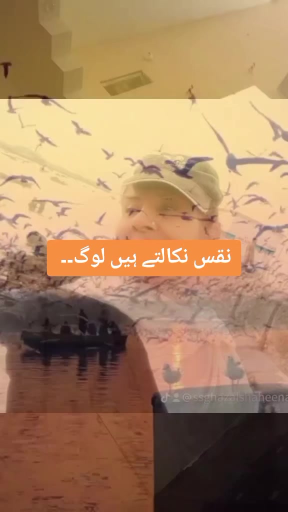 @SSGhazal Shaheena