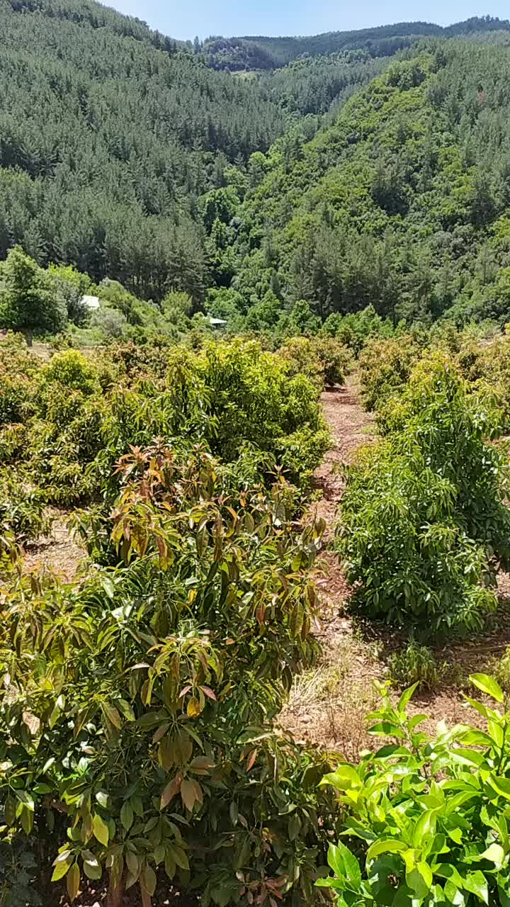 @Nursel Aydoğan