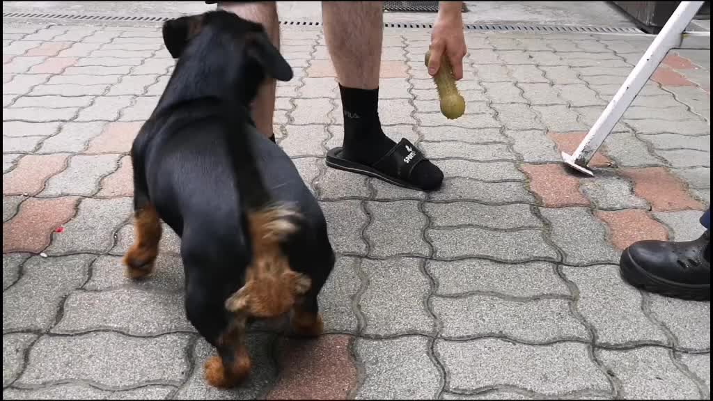 @peter_szemes