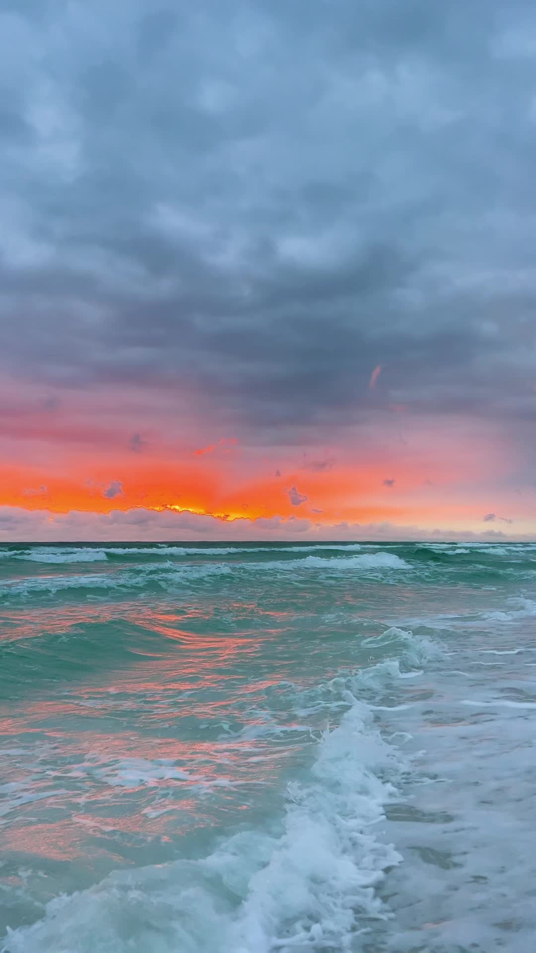 @thewilltochoose