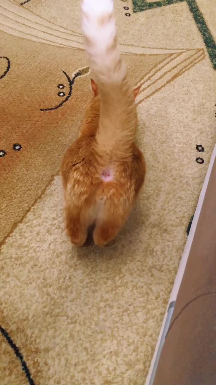 @Татьяна