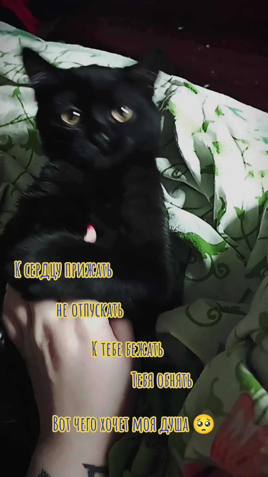 @😈Притон Любви🥵