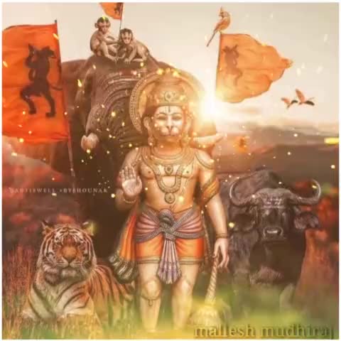 @👑MrNAVEEN-NANDIPATI