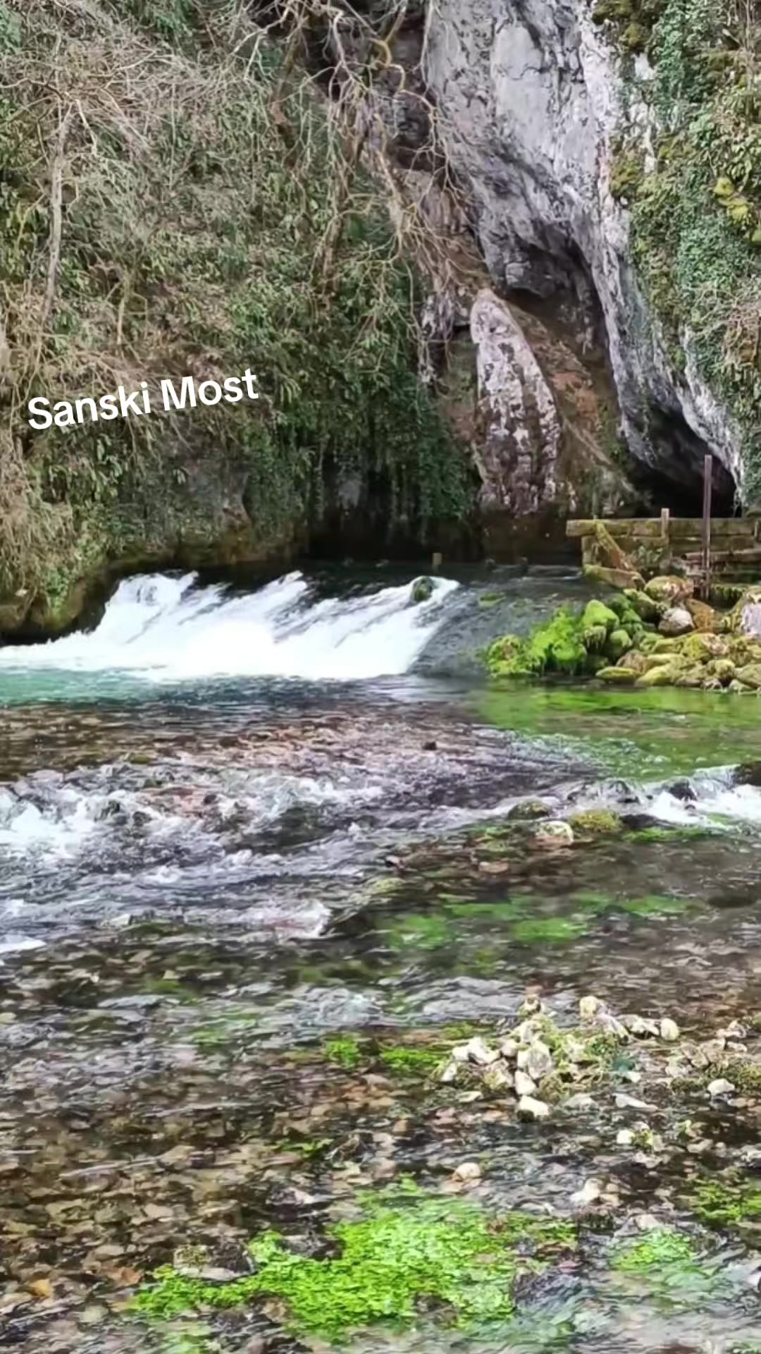 @edisrasavac