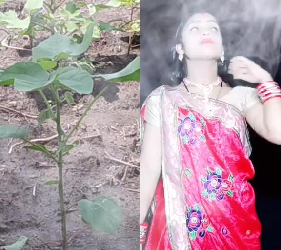 @Dharamsing Chavhan