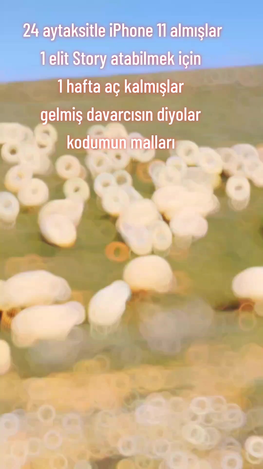 @Ozan Ak&ccedil;ay