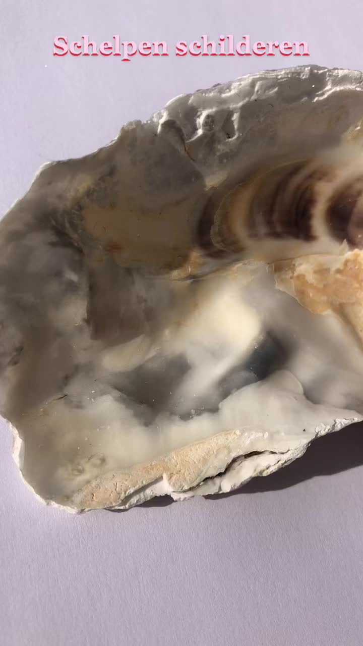 @🤩🤩