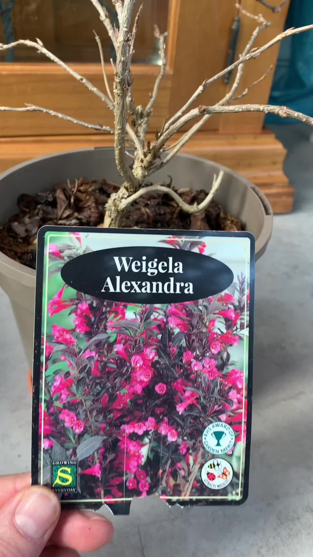 @Plant!U