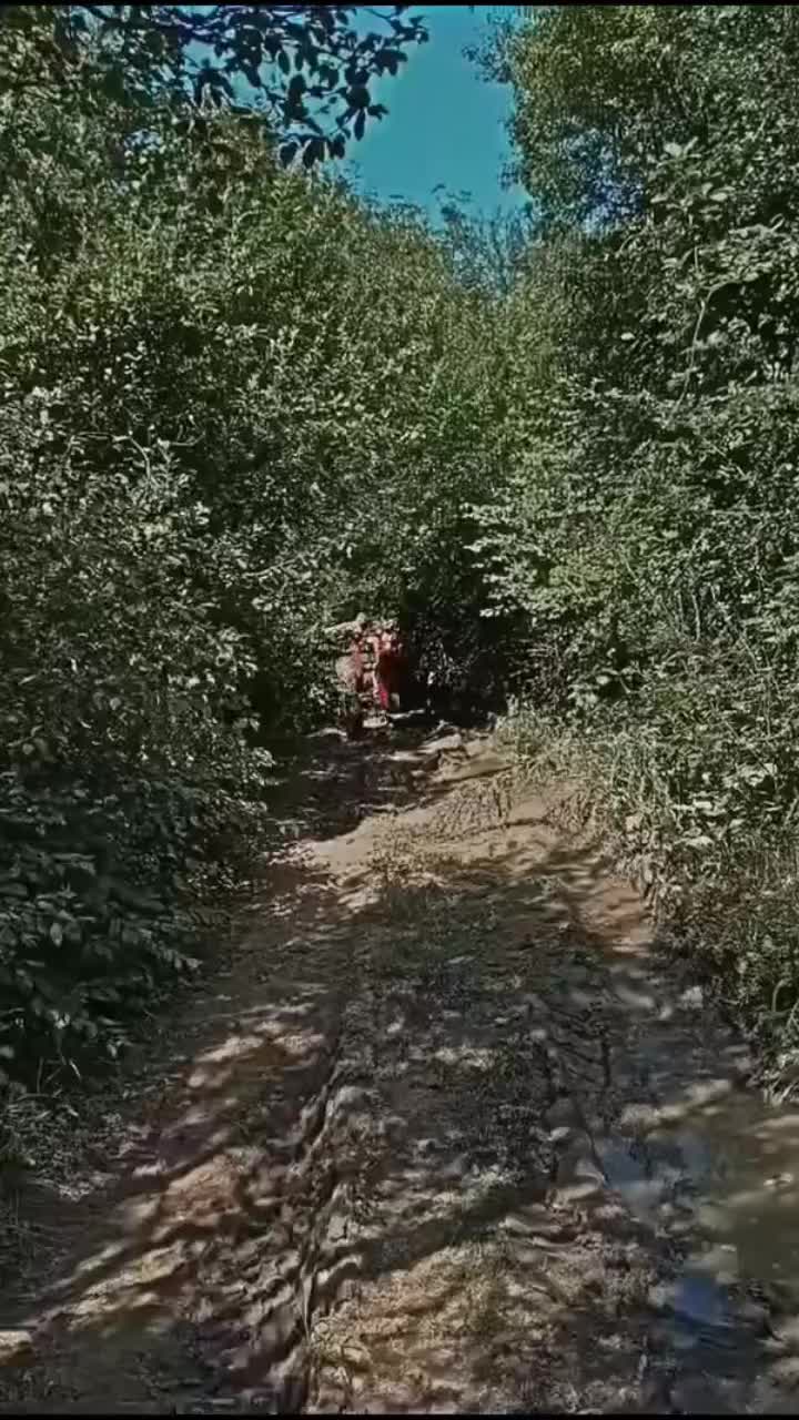 @Mihajlo