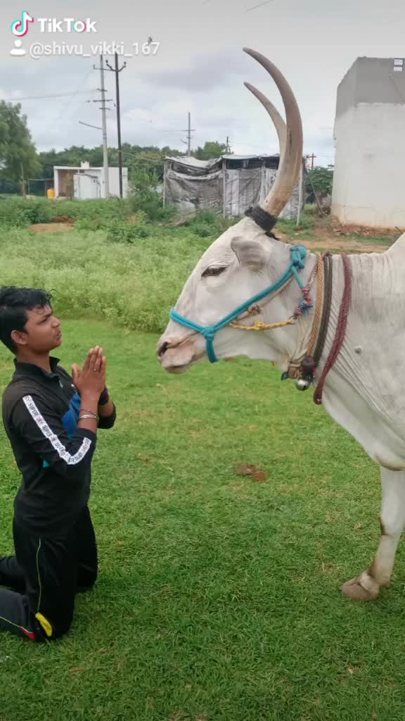 @Ranavikram 167