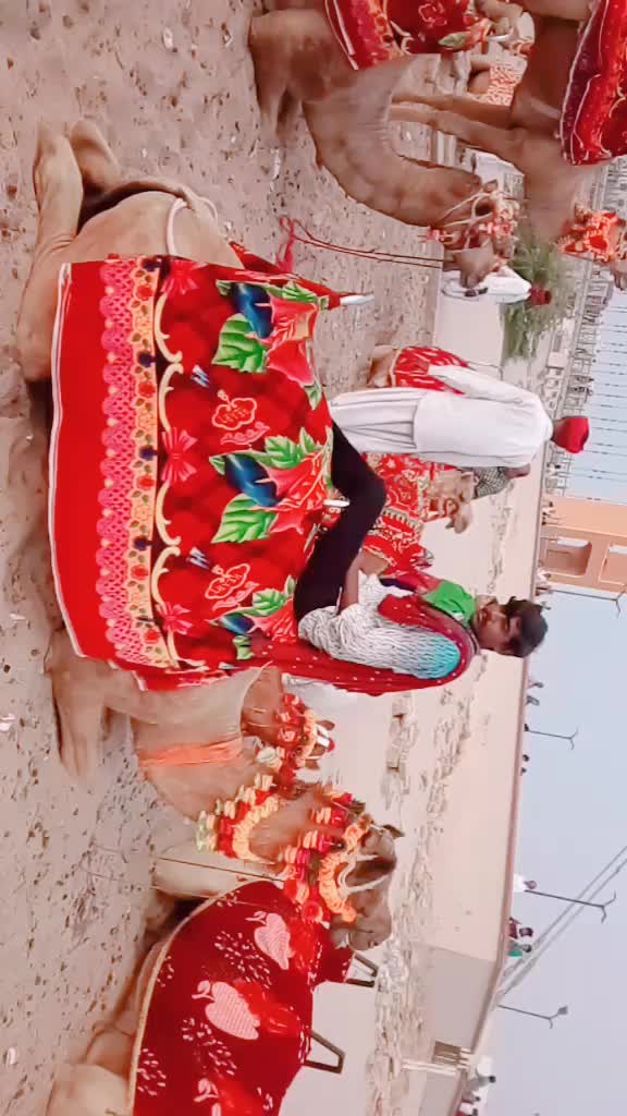 @nevraKarmata