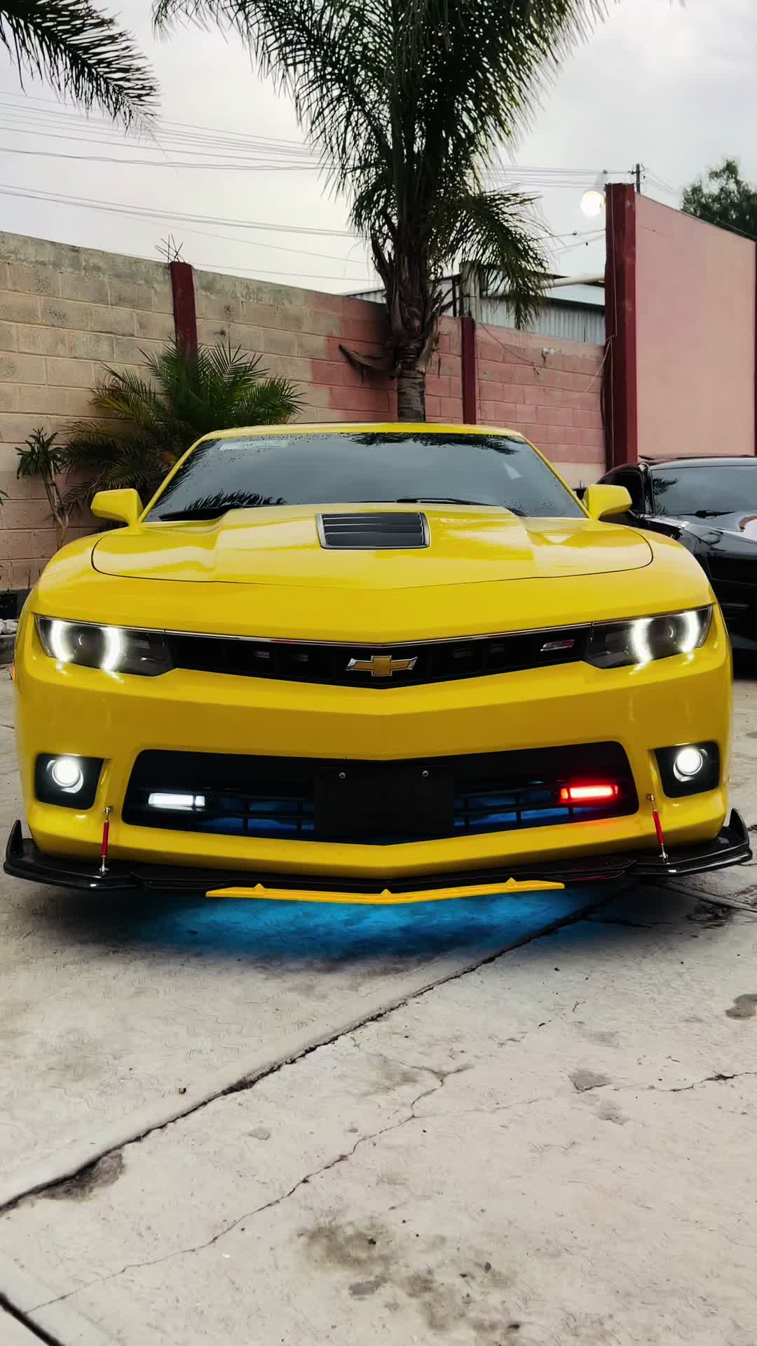 @Alexis CAMARO SS BUMBLEBEE